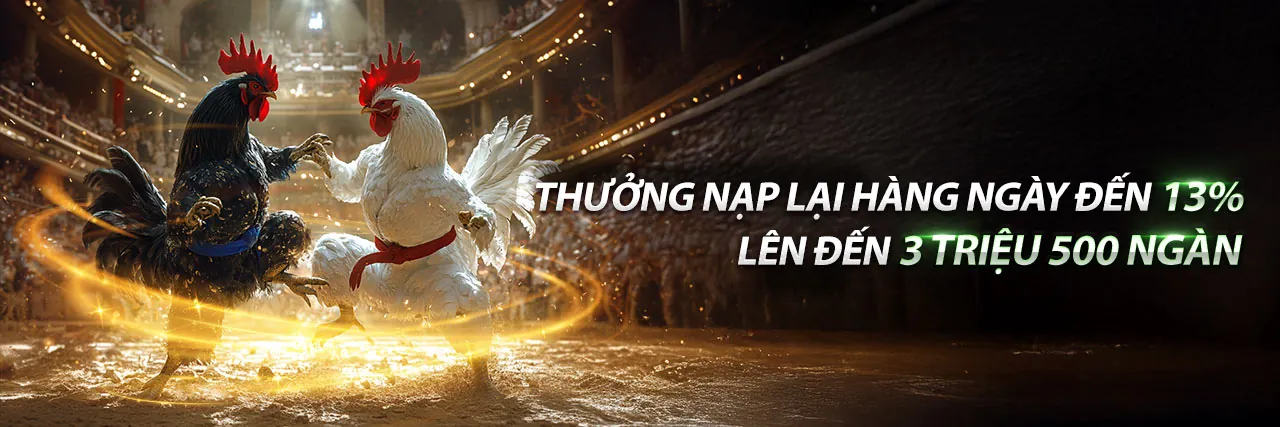 Hình ảnh chính về nền tảng 8kbe với chủ đề cá cược trực tuyến và màu xanh vàng